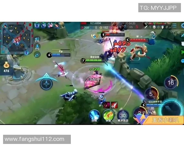 LNG战队比赛经验分析与王者荣耀策略探讨 LNG战队比赛经验分析与王者荣耀策略探讨