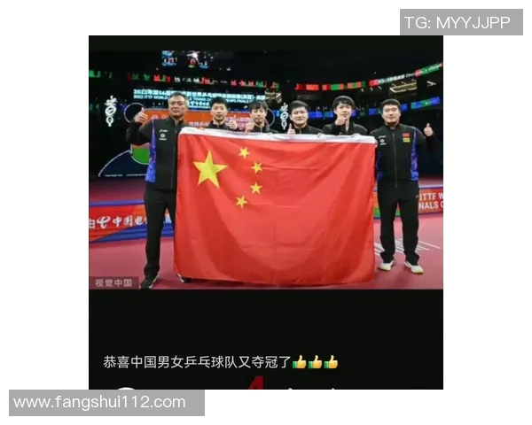 杭州乒乓球队意识变革引发热议推动乒乓球运动新发展