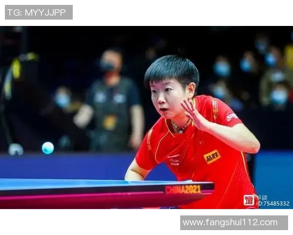 深圳乒乓球队防反战术革新探索与实践的深度剖析与展望