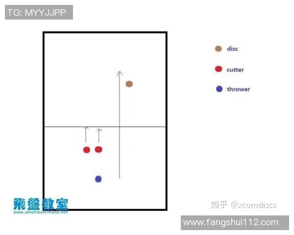 深入分析深圳飞盘队防守策略与战术特点的专业解读
